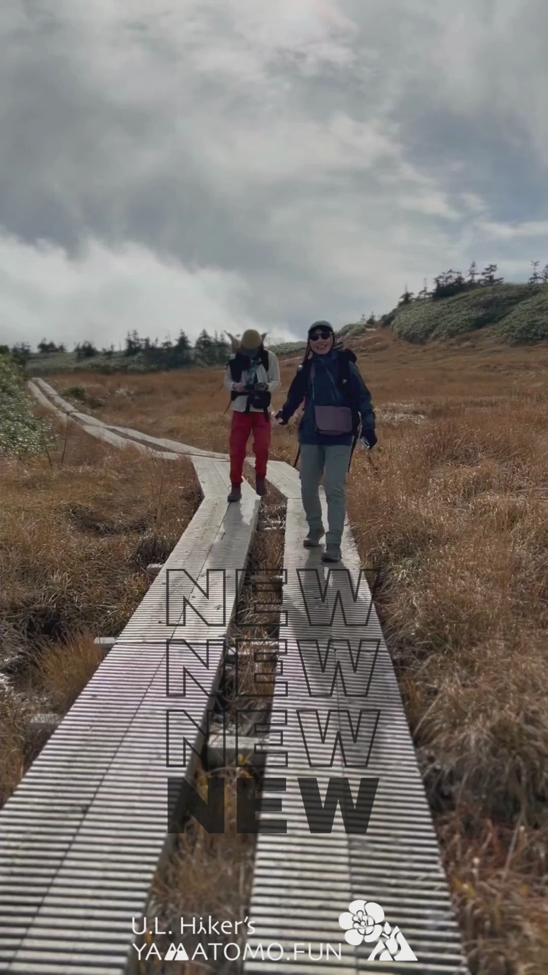 動画を読み込む: 